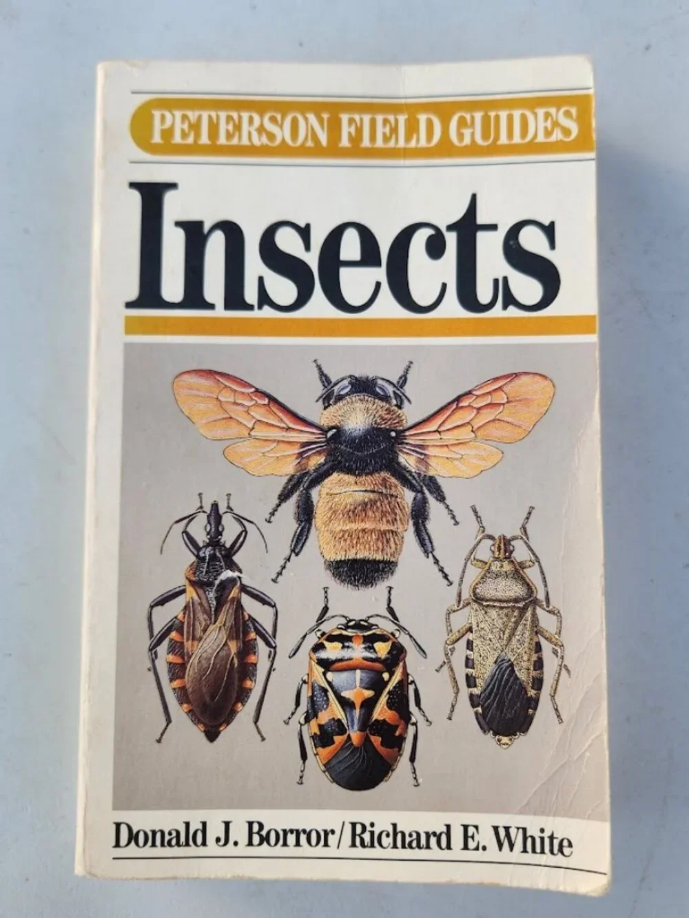 Peterson Field Guide Insects of America North of Mexico Vintage Book Entomology